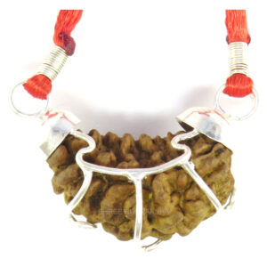 One Mukhi Rudraksha Pendant (Jaal Cap)