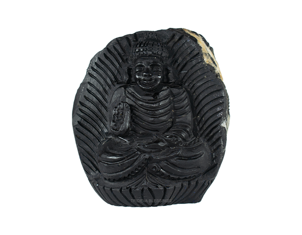 Adbhut Gautam Buddha Shaligram Idol- I- Carved on Sudarshan Shaligram