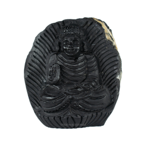 Adbhut Gautam Buddha Shaligram Idol- I- Carved on Sudarshan Shaligram