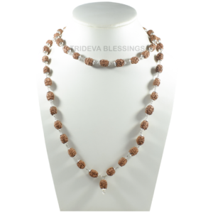 3 Mukhi Rudraksha Mala/Three Face Rudraksha Rosary/Mangal Mala 54+1 - Made in Pure Silver