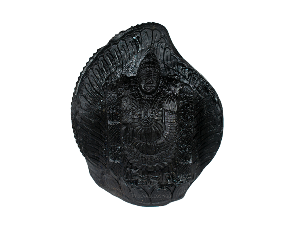 Adbhut Tirupati Balaji Shaligram Idol - XV - Carved on Shaligram