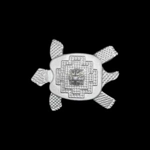 kachap meru shreeyantra