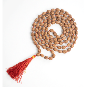 3 Mukhi Rudraksha Mala - 108+1 Beads - Lab Certified