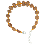 Rudraksha Sarvasiddhi Bracelet (1-14 Face Gaurishankar & Ganesh Rudraksha) - Indonesian Beads (Thread)
