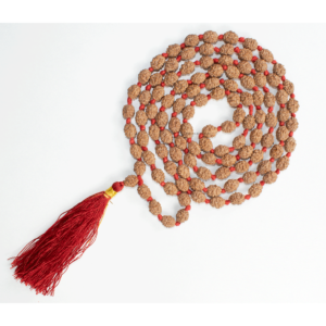 4 Mukhi Rudraksha Mala - 108+1 Beads (Lab Certified)