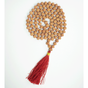 6 Mukhi Rudraksha Mala - 108+1 Beads - Lab Certified