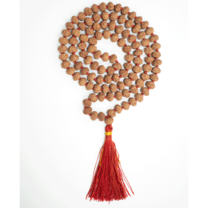 7 Mukhi Rudraksha Mala - 108+1 Beads - Lab Certified