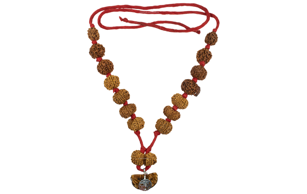 Rudraksha Sarvasiddhi Mala (1-14 Face Gaurishankar & Ganesh Rudraksha) - Nepal Beads