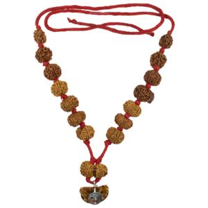 Rudraksha Sarvasiddhi Mala (1-14 Face Gaurishankar & Ganesh Rudraksha) - Nepal Beads