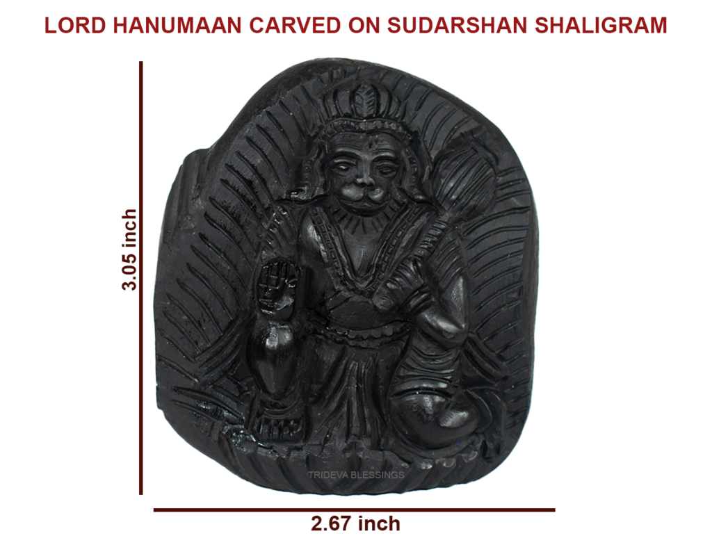 Sacred Hanuman Shaligram Idol - I - Carved on Sudarshan Shaligram
