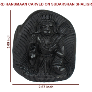 Sacred Hanuman Shaligram Idol - I - Carved on Sudarshan Shaligram