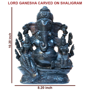 Adbhut Lord Ganesha- Carved on Shaligram