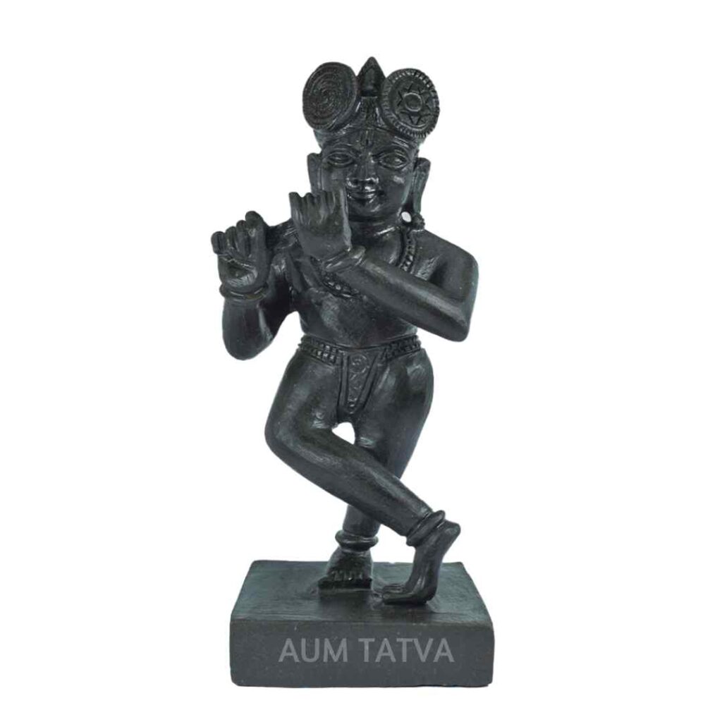 Lord Radha Raman Shaligram Idol