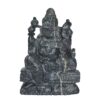 Janeudhari Shree Laxmi Narsimha Shaligram