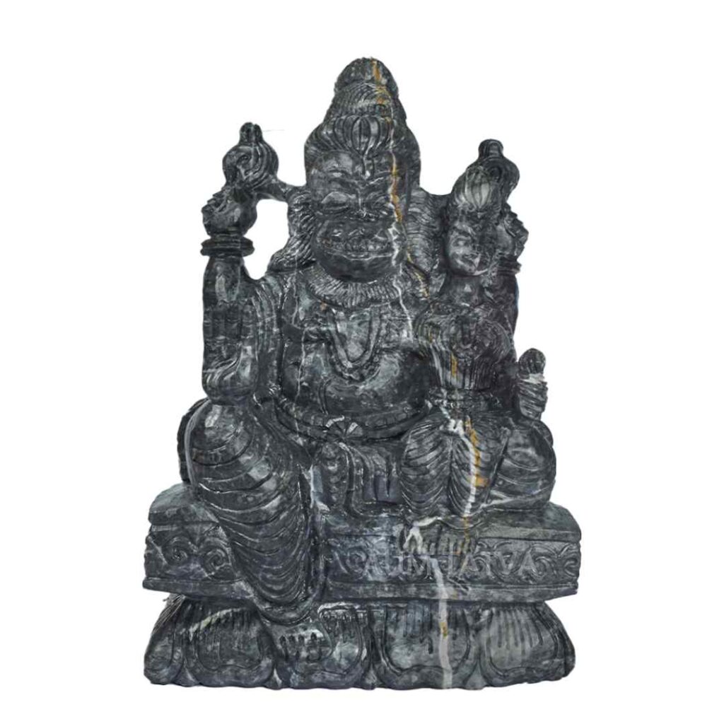 Janeudhari Shree Laxmi Narsimha Shaligram AUMSHI17