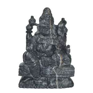 Janeudhari Shree Laxmi Narsimha Shaligram