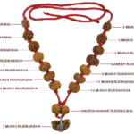 Rudraksha Sarvasiddhi Mala (1-14 Face Gaurishankar & Ganesh Rudraksha) - Nepal Beads