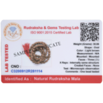 3 Mukhi Rudraksha Mala - 108+1 Beads - Lab Certified