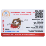 2 Mukhi Rudraksha Mala - 108+1 Beads (Lab certified)
