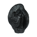 Adbhut Tirupati Balaji Shaligram Idol - XV - Carved on Shaligram