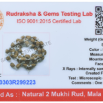 2 Mukhi Rudraksha Mala/ Two Face Rudraksha Rosary/ Moon Rosary 54+1 - Made in Pure Silver