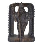 Maa