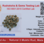 3 Mukhi Rudraksha Mala/Three Face Rudraksha Rosary/Mangal Mala 54+1 - Made in Pure Silver