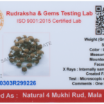 4 Mukhi Rudraksha Mala/Four Face Rudraksha Rosary/Brahma Mala 54+1 - Made in Pure Silver