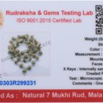 7 Mukhi Rudraksha Mala/ Seven Face Rudraksha Rosary/ Maha Laxmi Mala 54+1 - Made in Pure Silver
