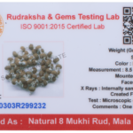 8 Mukhi Rudraksha Mala/Eight Face Rudraksha Rosary/ Ganesha Mala/ Vighanharta Mala 54+1 - Made in Pure Silver