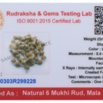 6 Mukhi Rudraksha Mala/ Six Face Rudraksha Rosary/ Kartikey Mala 54+1 - Made in Pure Silver