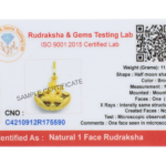 1 Mukhi Rudraksha Shiv Pendant (Golden Brass Cap)