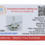 1 Mukhi Rudraksha Shiv Pendant (Silver Brass Cap)