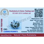 1 Mukhi Rudraksha Trishul Ganesha Pendant (Silver Metal)