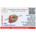 4 Mukhi Rudraksha Mala - 108+1 Beads (Lab Certified)