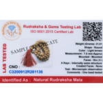 6 Mukhi Rudraksha Mala - 108+1 Beads - Lab Certified