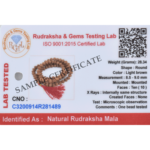 10 Mukhi Rudraksha Mala - 108+1 Beads - Lab Certified