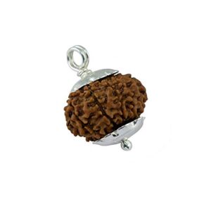 11 Mukhi Rudraksha Pendant/Eleven Face Rudraksha Pendant (Made in Pure Silver) - Nepal Bead