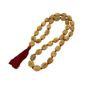 3 Mukhi Rudraksha Kantha/Mangal Kantha/ Three Face Rudraksha Kantha (36+1 Beads)