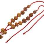 Rudraksha Sarvasiddhi Mala (1-14 Face Gaurishankar & Ganesh Rudraksha) - Nepal Beads
