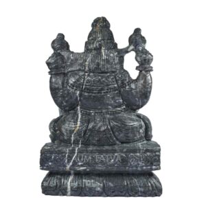 Janeudhari Shree Laxmi Narsimha Shaligram