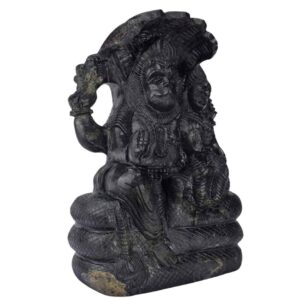 Shree Lakshmi Narsimha Idol Shaligram