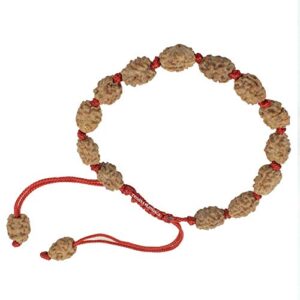 2 Mukhi Rudraksha Bracelet/Two Face Rudraksha Bracelet -15 Beads