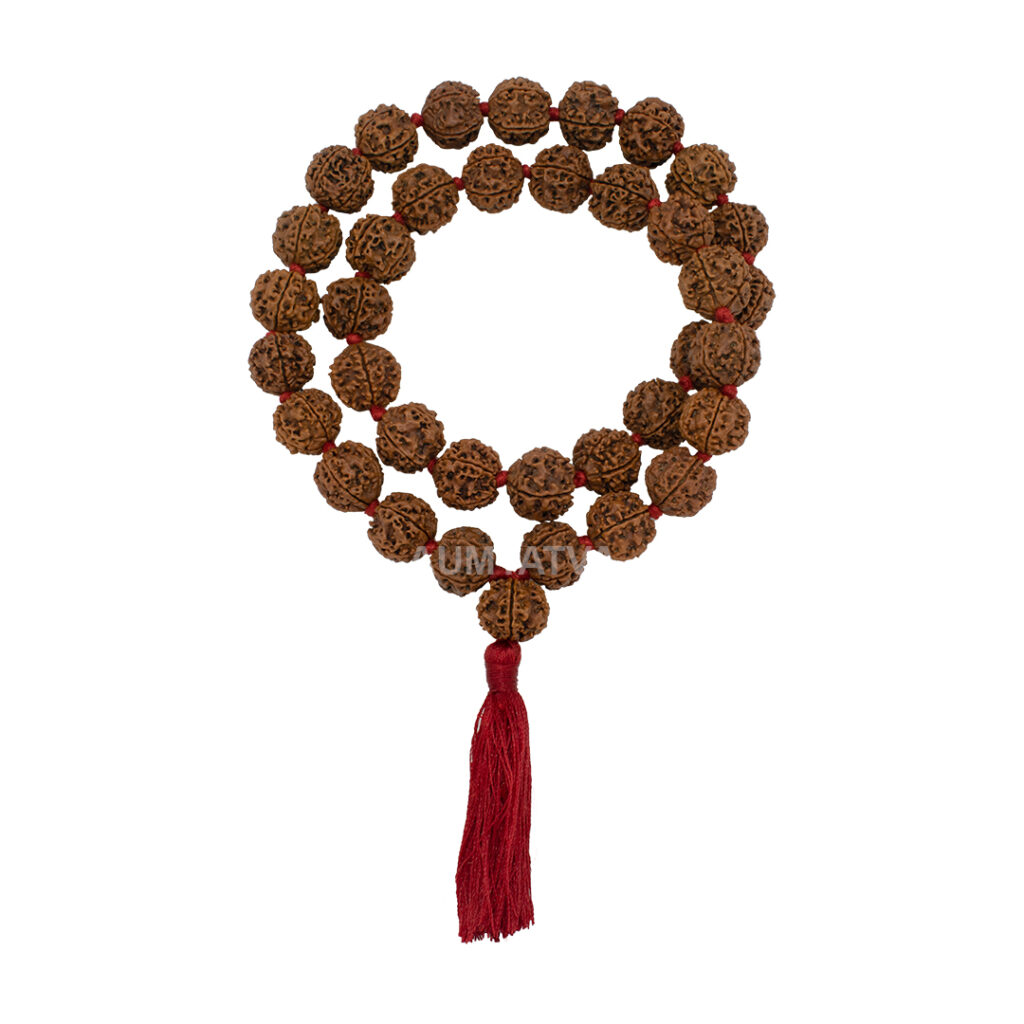 4 Mukhi Rudraksha Kantha/ Brahma Kantha / Four Face Rudraksha Kantha (36+1 Beads)