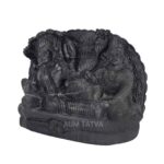 Shree Laxmi Narayan