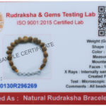 Rudraksha Sarvasiddhi Bracelet (1-14 Face Gaurishankar & Ganesh Rudraksha) - Indonesian Beads (Thread)
