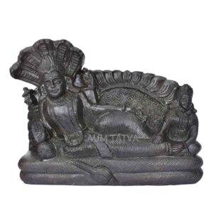Lord Vishnu Sleeping