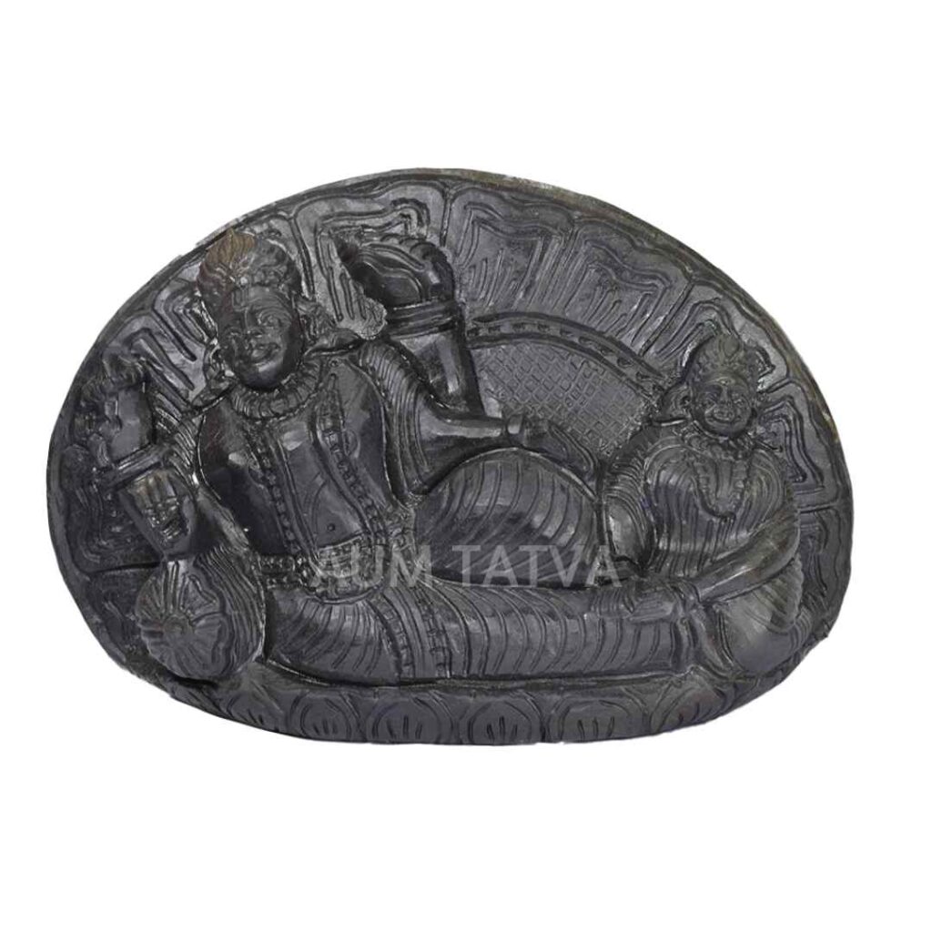 Shree Laxmi Narayan AUMSHI27