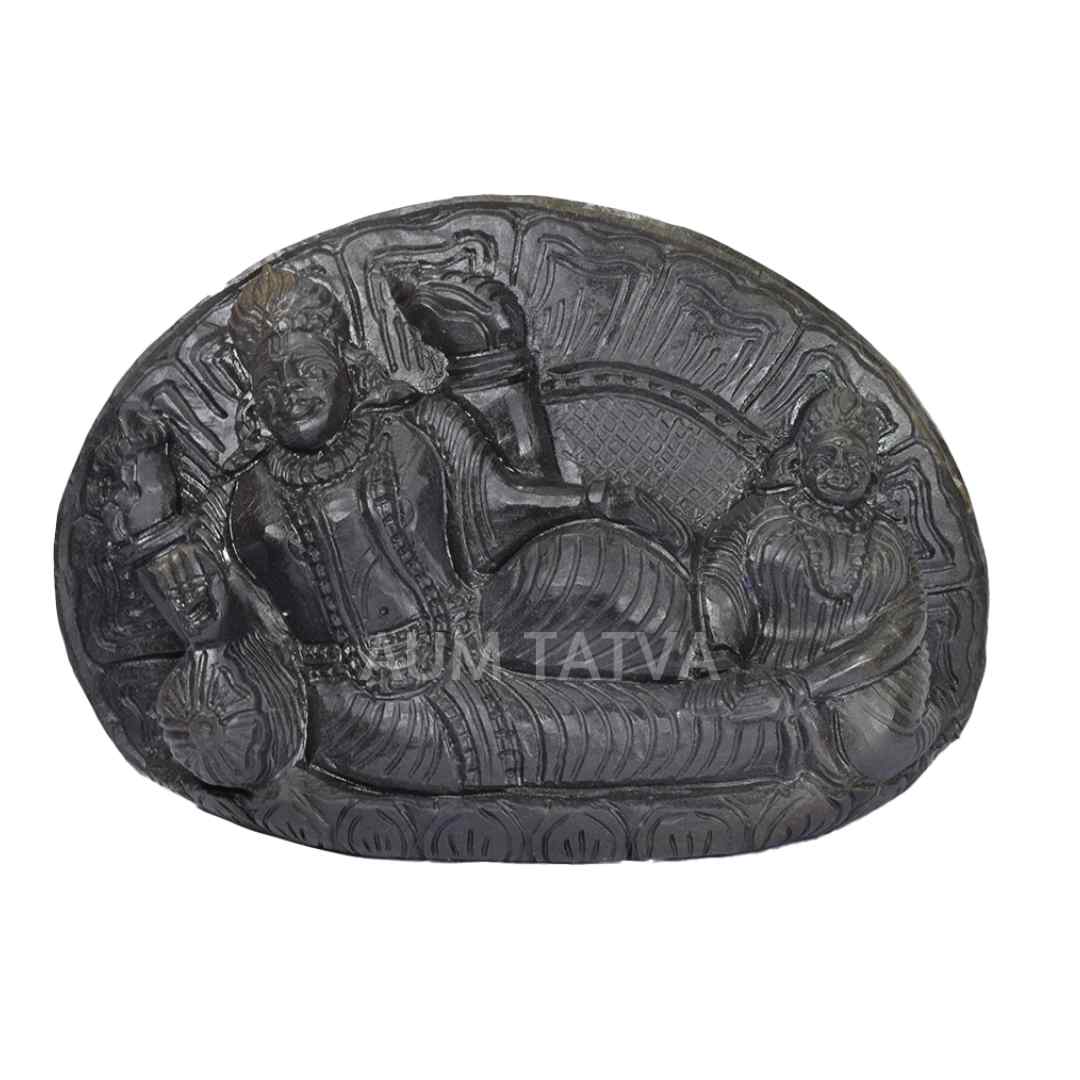 Shree Laxmi Narayan Shree Laxmi Narayan