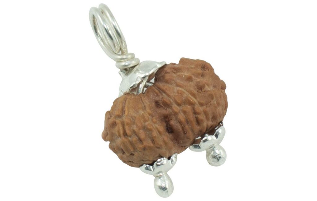 Gaurishankar Rudraksha/Gowrishankar Rudraksha Pendant (Pure Silver) - Indonesian Bead